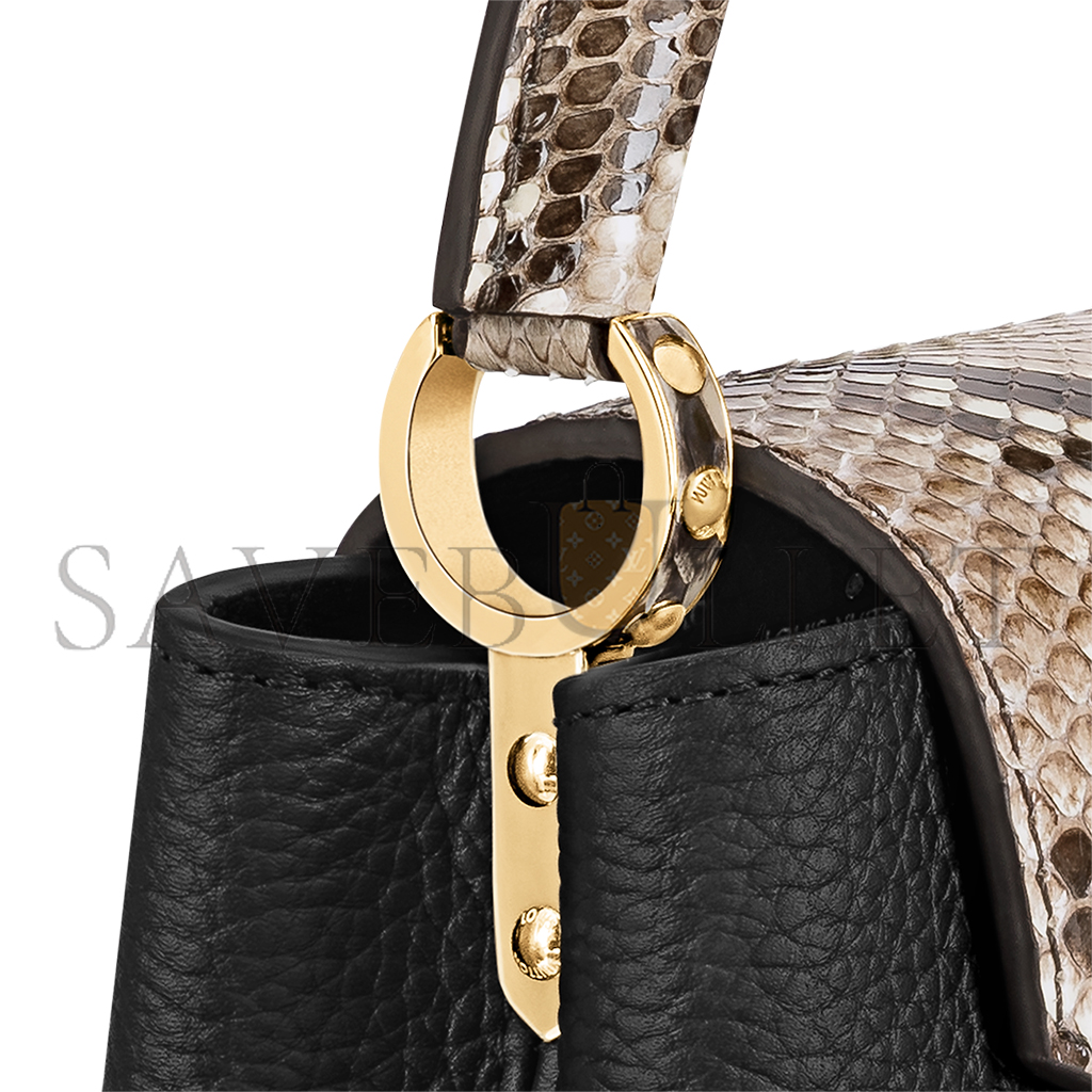 LOUIS VUITTON CAPUCINES MINI N96467 (21*14*8cm)